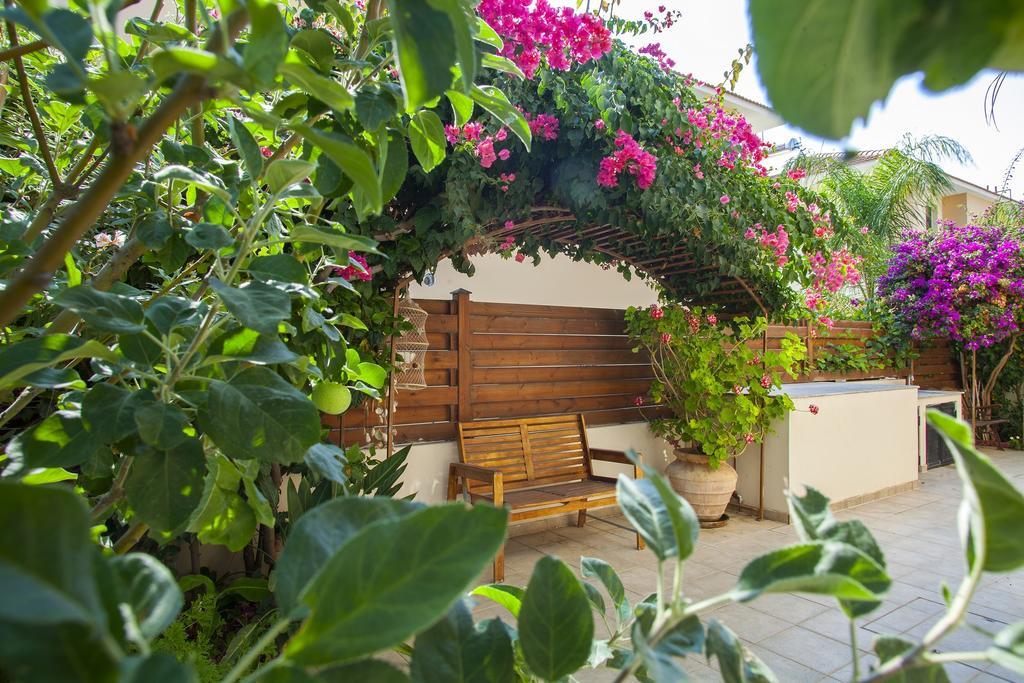 Villa Enalos 37 Βορόκλινη Εξωτερικό φωτογραφία
